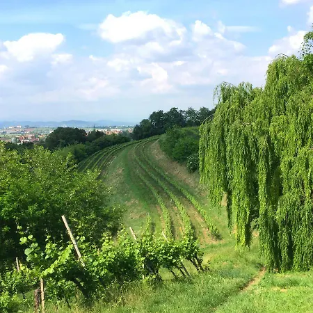 Il Convento Di San Fermo Farm stay Lonigo