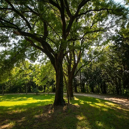Il Convento Di San Fermo Lonigo
