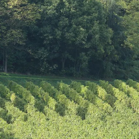 Il Convento Di San Fermo Gospodarstwo agroturystyczne *
