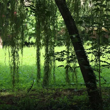 Il Convento Di San Fermo