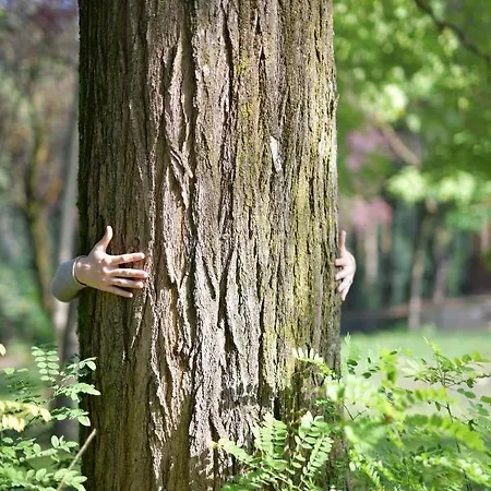 Gospodarstwo agroturystyczne Il Convento Di San Fermo