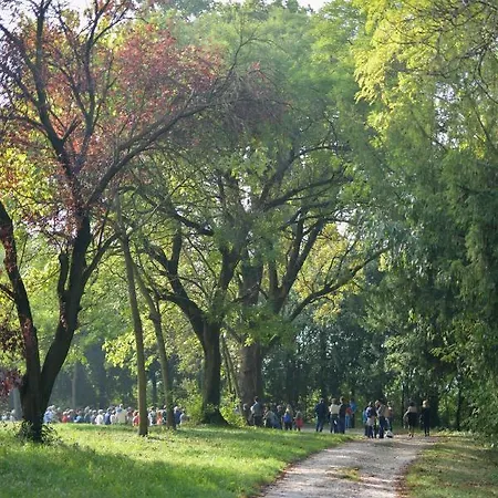 Il Convento Di San Fermo * 洛尼戈