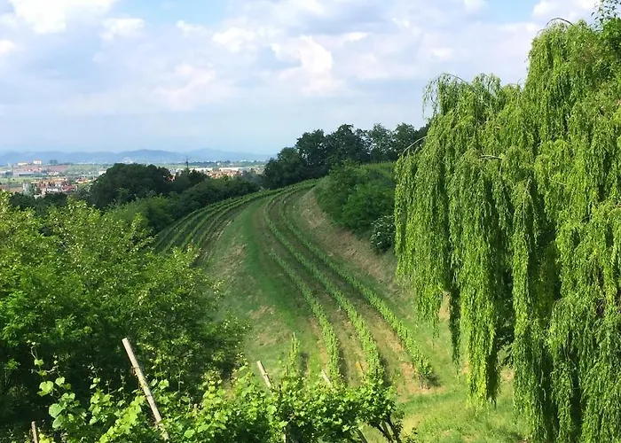 Il Convento Di San Fermo Farmház Lonigo